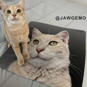 Custom Gaming Mouse Pads